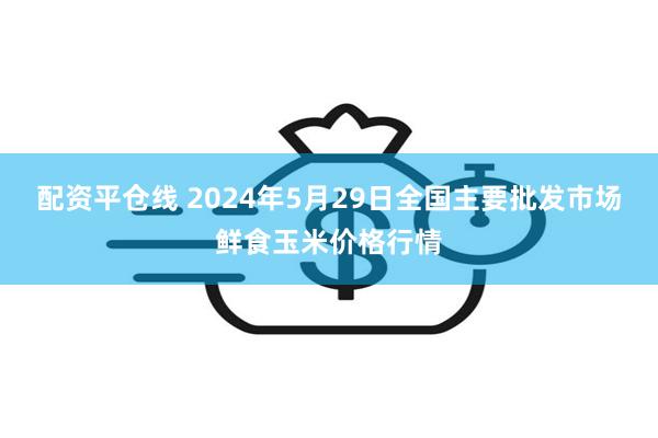 配资平仓线 2024年5月29日全国主要批发市场鲜食玉米价格行情