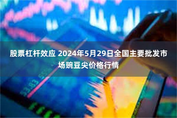 股票杠杆效应 2024年5月29日全国主要批发市场豌豆尖价格行情