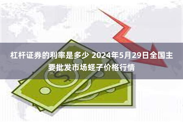 杠杆证券的利率是多少 2024年5月29日全国主要批发市场蛏子价格行情