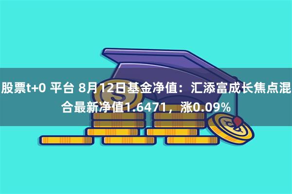 股票t+0 平台 8月12日基金净值：汇添富成长焦点混合最新净值1.6471，涨0.09%