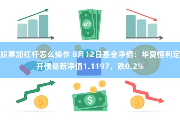 股票加杠杆怎么操作 8月12日基金净值：华夏恒利定开债最新净值1.1197，跌0.2%