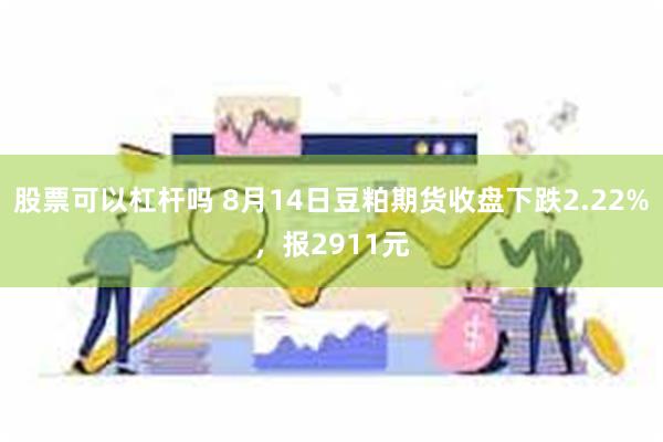 股票可以杠杆吗 8月14日豆粕期货收盘下跌2.22%，报2911元