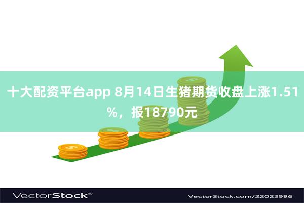 十大配资平台app 8月14日生猪期货收盘上涨1.51%，报18790元