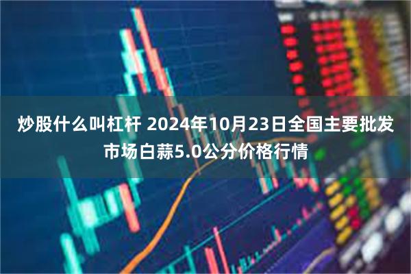 炒股什么叫杠杆 2024年10月23日全国主要批发市场白蒜5.0公分价格行情