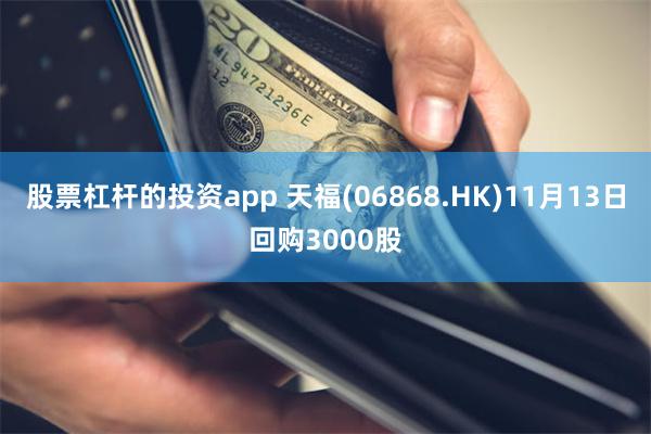 股票杠杆的投资app 天福(06868.HK)11月13日回购3000股