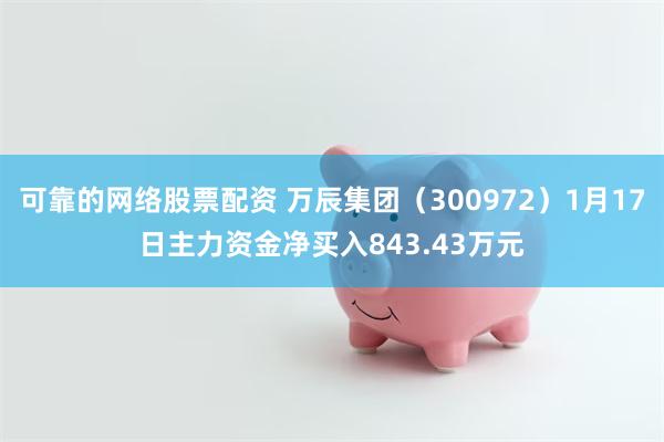 可靠的网络股票配资 万辰集团（300972）1月17日主力资金净买入843.43万元