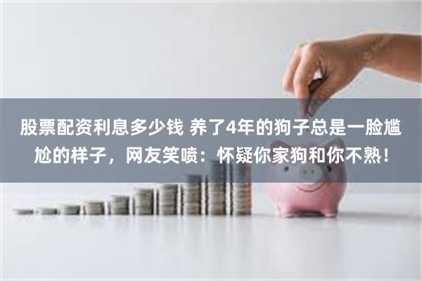 股票配资利息多少钱 养了4年的狗子总是一脸尴尬的样子，网友笑喷：怀疑你家狗和你不熟！